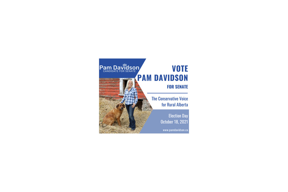 Pam Davidson Candidate for Senate