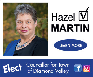Martin, Hazel election ad